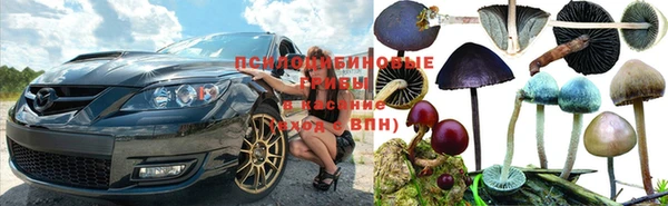 mdpv Краснотурьинск