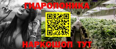 дмт Кандалакша