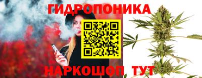 дмт Кандалакша