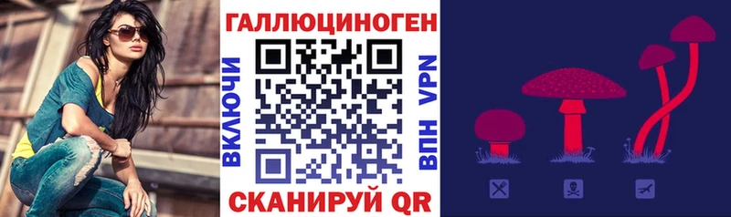 Псилоцибиновые грибы Psilocybe  Самара 