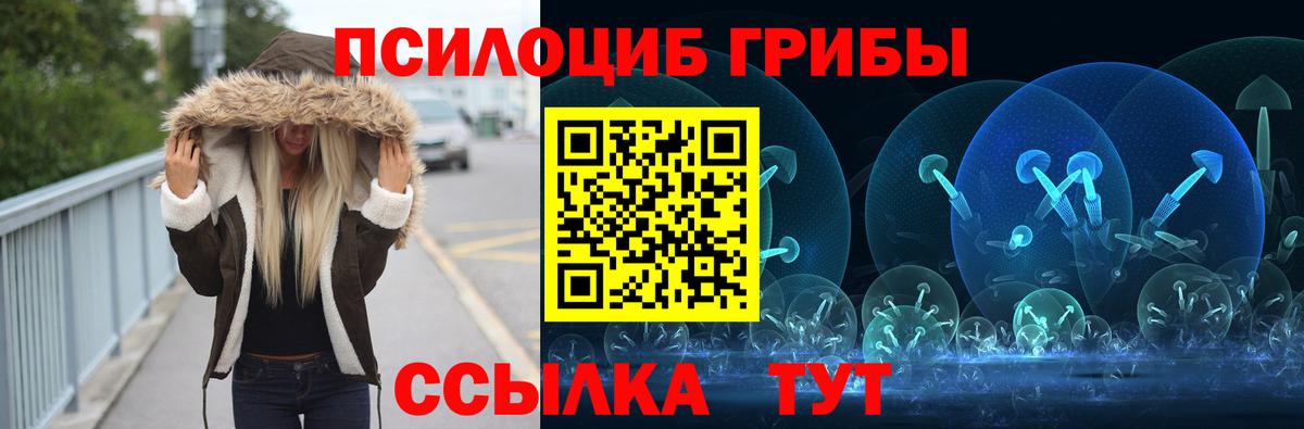 Псилоцибиновые грибы MAGIC MUSHROOMS  Вход с VPN  Самара 